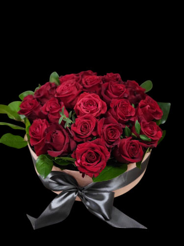 Photoroom-20250218_105733