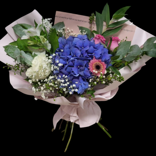 Photoroom-20250328_111620