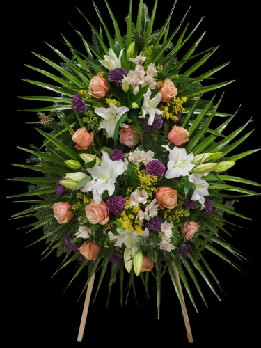 Photoroom-20250218 125035